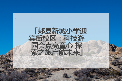 郏县新城小学迎宾街校区：科技游园会点亮童心 探索之旅启航未来