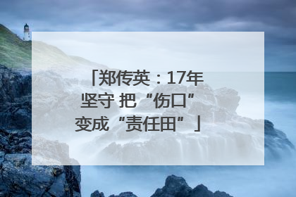 郑传英：17年坚守 把“伤口”变成“责任田”