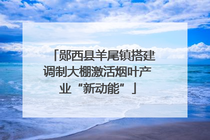 郧西县羊尾镇搭建调制大棚激活烟叶产业“新动能”