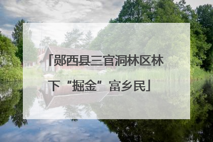 郧西县三官洞林区林下“掘金”富乡民