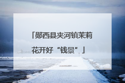 郧西县夹河镇茉莉花开好“钱景”
