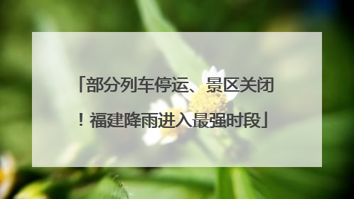 部分列车停运、景区关闭！福建降雨进入最强时段