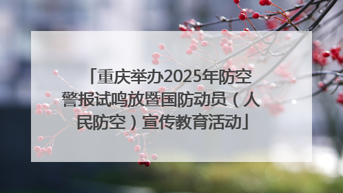 重庆举办2025年防空警报试鸣放暨国防动员（人民防空）宣传教育活动