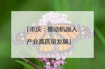 重庆：推动机器人产业高质量发展
