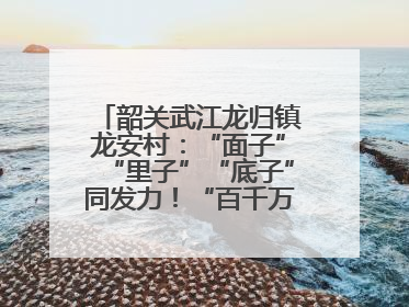 韶关武江龙归镇龙安村：“面子”“里子”“底子”同发力！“百千万工程”激活乡村新动能
