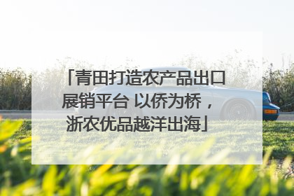 青田打造农产品出口展销平台 以侨为桥，浙农优品越洋出海