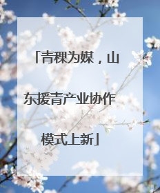 青稞为媒，山东援青产业协作模式上新