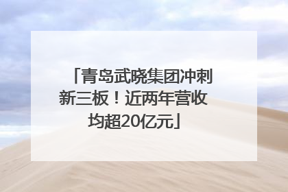 青岛武晓集团冲刺新三板！近两年营收均超20亿元