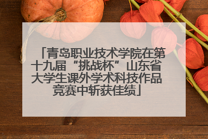 青岛职业技术学院在第十九届“挑战杯”山东省大学生课外学术科技作品竞赛中斩获佳绩