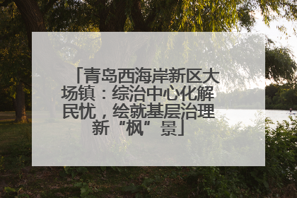 青岛西海岸新区大场镇：综治中心化解民忧，绘就基层治理新“枫”景