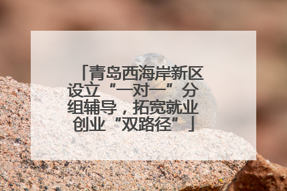 青岛西海岸新区设立“一对一”分组辅导，拓宽就业创业“双路径”