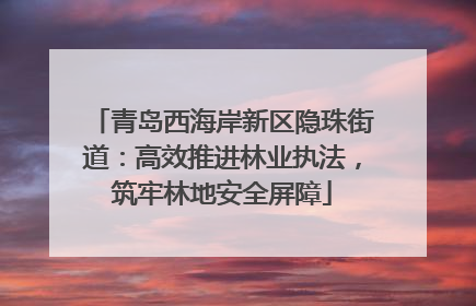 青岛西海岸新区隐珠街道：高效推进林业执法，筑牢林地安全屏障