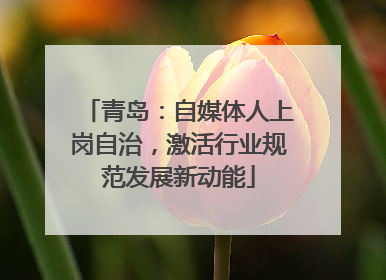 青岛：自媒体人上岗自治，激活行业规范发展新动能