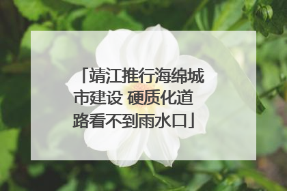 靖江推行海绵城市建设 硬质化道路看不到雨水口