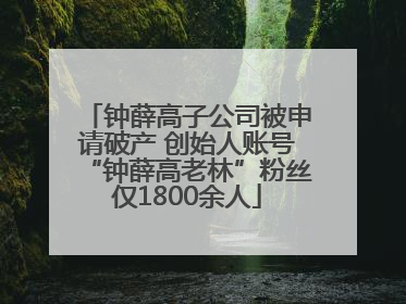 钟薛高子公司被申请破产 创始人账号“钟薛高老林”粉丝仅1800余人