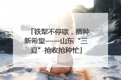 铁犁不停歇，播种新希望——山东“三夏”抢收抢种忙