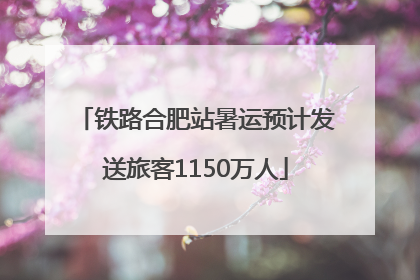 铁路合肥站暑运预计发送旅客1150万人