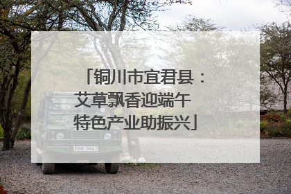 铜川市宜君县：艾草飘香迎端午 特色产业助振兴