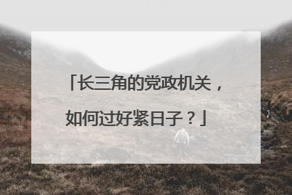 长三角的党政机关，如何过好紧日子？