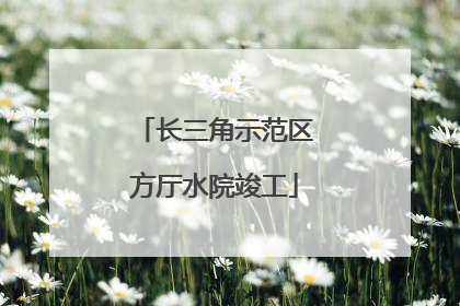 长三角示范区方厅水院竣工