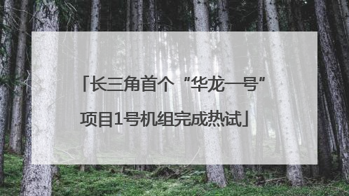 长三角首个“华龙一号”项目1号机组完成热试