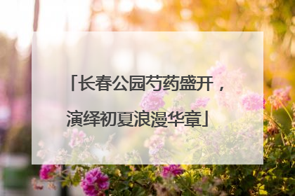 长春公园芍药盛开，演绎初夏浪漫华章