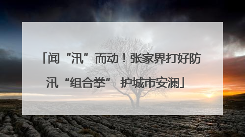 闻“汛”而动！张家界打好防汛“组合拳” 护城市安澜