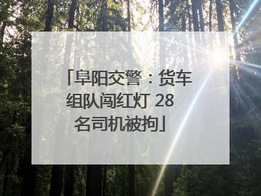 阜阳交警：货车组队闯红灯 28名司机被拘