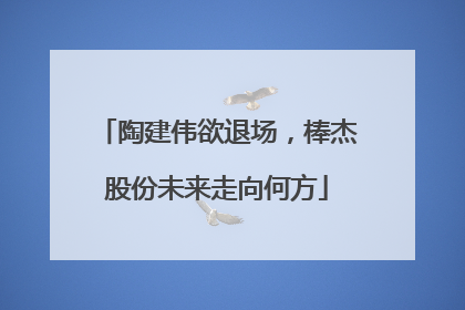 陶建伟欲退场，棒杰股份未来走向何方