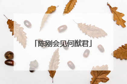 陈刚会见何猷君