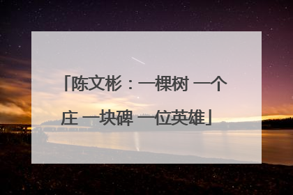 陈文彬：一棵树 一个庄 一块碑 一位英雄