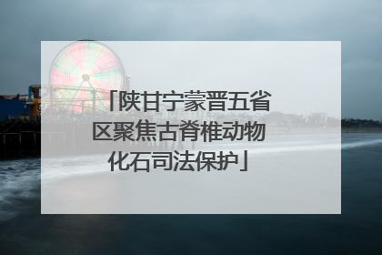 陕甘宁蒙晋五省区聚焦古脊椎动物化石司法保护