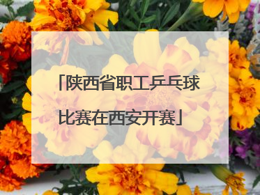 陕西省职工乒乓球比赛在西安开赛