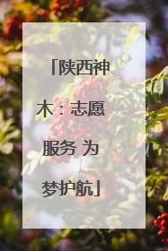陕西神木：志愿服务 为梦护航
