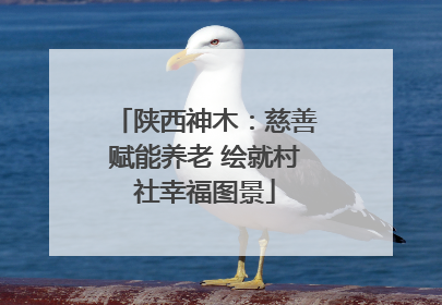 陕西神木：慈善赋能养老 绘就村社幸福图景
