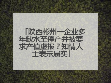 陕西彬州一企业多年缺水至停产并被要求产值虚报？知情人士表示属实