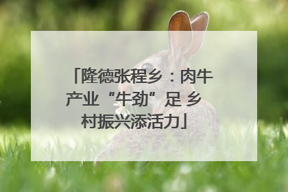 隆德张程乡：肉牛产业“牛劲”足 乡村振兴添活力