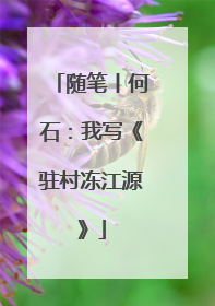 随笔丨何石：我写《驻村冻江源》