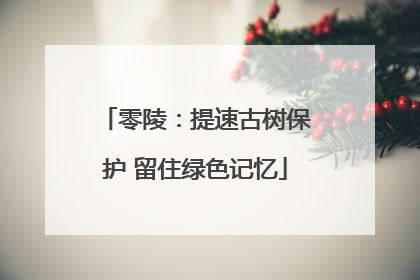 零陵：提速古树保护 留住绿色记忆