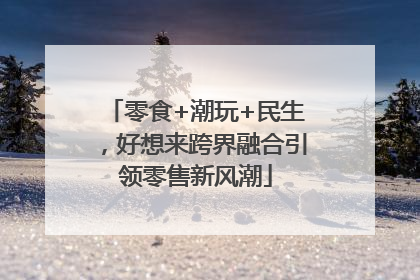 零食+潮玩+民生，好想来跨界融合引领零售新风潮