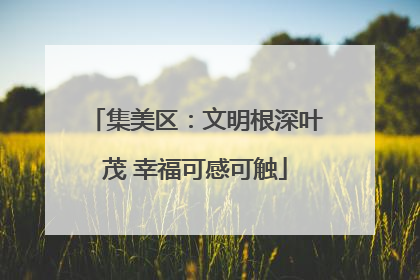 集美区：文明根深叶茂 幸福可感可触