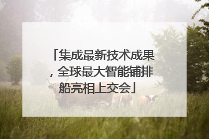 集成最新技术成果，全球最大智能铺排船亮相上交会