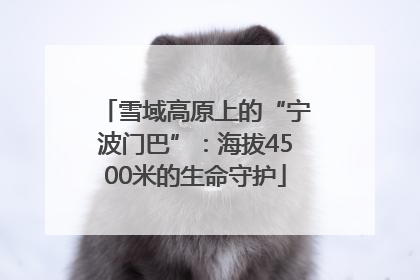 雪域高原上的“宁波门巴”：海拔4500米的生命守护