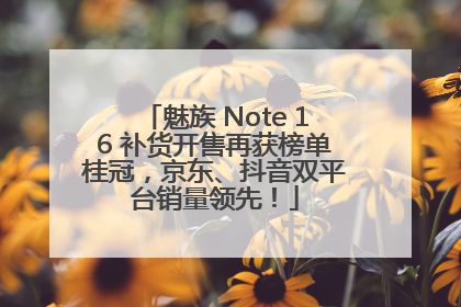 魅族 Note 16 补货开售再获榜单桂冠，京东、抖音双平台销量领先！