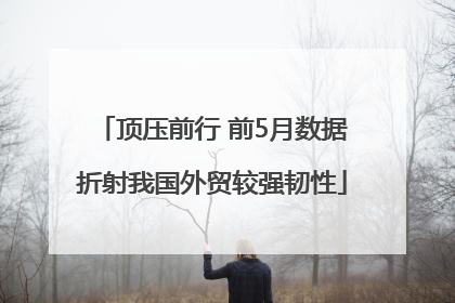 顶压前行 前5月数据折射我国外贸较强韧性