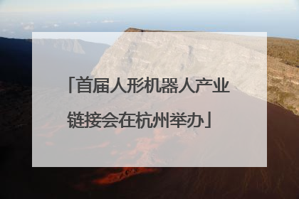 首届人形机器人产业链接会在杭州举办