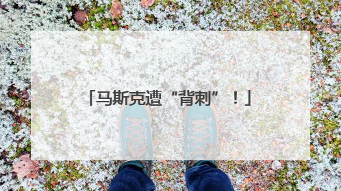 马斯克遭“背刺”！