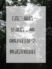 高三最后一节课后，400株向日葵空降武汉校园