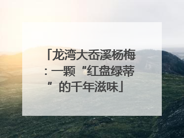 龙湾大岙溪杨梅：一颗“红盘绿蒂”的千年滋味
