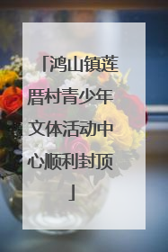 鸿山镇莲厝村青少年文体活动中心顺利封顶